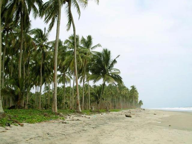 hotel crucero cojimies ecuador ecologico playas