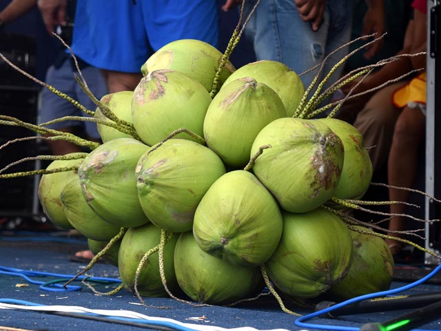 hotel crucero cojimies ecuador festival coco