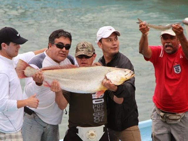 hotel crucero cojimies ecuador festival corvina