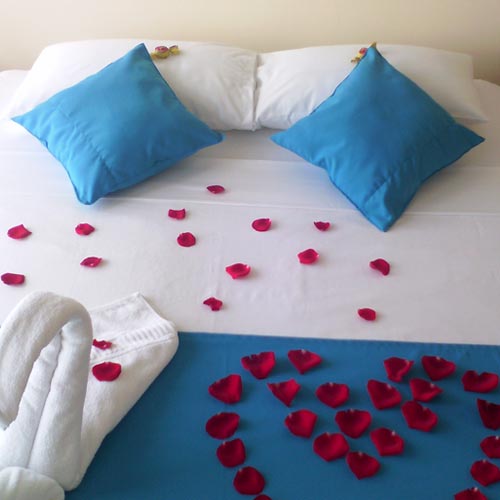 hotel crucero cojimies ecuador decoraciones